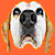 :iconlayellowdog: