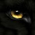 :iconlaylablackwolf: