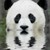 :iconlazey1: