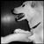 :iconlaziedog: