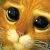 :iconlazuliana: