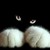 :iconlazureblood: