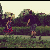 :iconlazy-muffin: