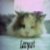 :iconlazycat5: