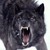 LazyMongrel :iconlazymongrel:
