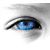 :iconlb99:
