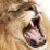 :iconLbr0skc: