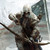:iconlcmortalart:
