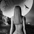 :iconle-faucon: