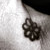 :iconLe-Mo102488: