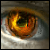 :iconle-saint: