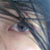 :iconle-vampyr-louis:
