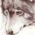 :iconleaddogspock: