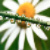 :iconleadmeHome: