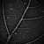 :iconleafburden: