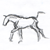:iconLeafyBug: