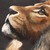 :iconleafypal: