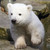 LeafyTheKittyLOL :iconleafythekittylol: