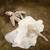 :iconleahjohnston: