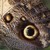 :iconleahpardoe: