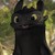 :iconleahsaurus-rex:
