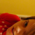 :iconleak-head: