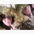 :iconleandrajane: