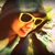 :iconleangarnm: