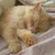 :iconleann724:
