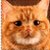 :iconleannie: