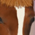:iconleapandi: