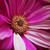 :iconlearning2breathe: