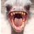 :iconlearyth: