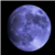 :iconleath259: