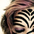:iconleatheria: