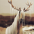 :iconleavingmemories: