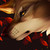 :iconleb-shadow: