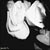 :iconlebanesegirl-xx: