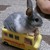 Leben-chan :iconleben-chan: