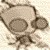:iconlebread: