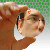 :iconlechatmaigre: