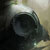 :iconleCO3UR: