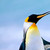 :iconlecolorblue: