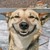:iconlecoloures: