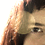 :iconleda-marta: