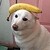 :iconledagracefalls: