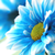 :iconledyautumn: