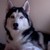 :iconleeahmay: