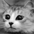 :iconleeloo250: