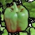 :iconleemckie: